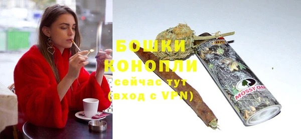 шишки Богородицк