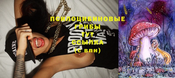 COCAINE Богородск