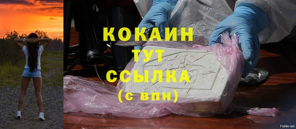 шишки Богородицк