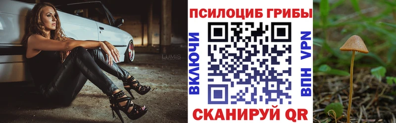 Галлюциногенные грибы ЛСД Богучар